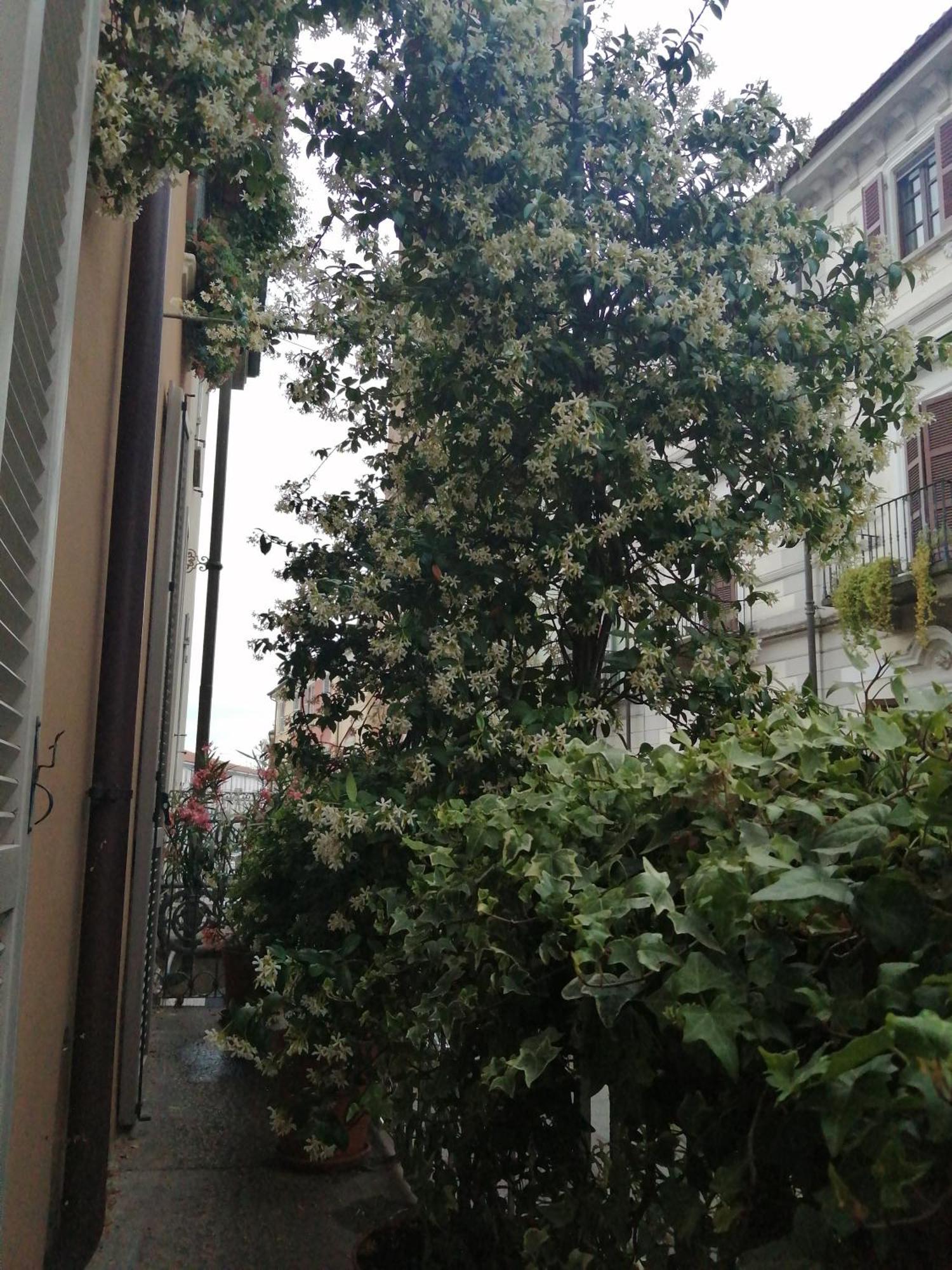 Ferienwohnung Le Melusine Vercelli Exterior foto